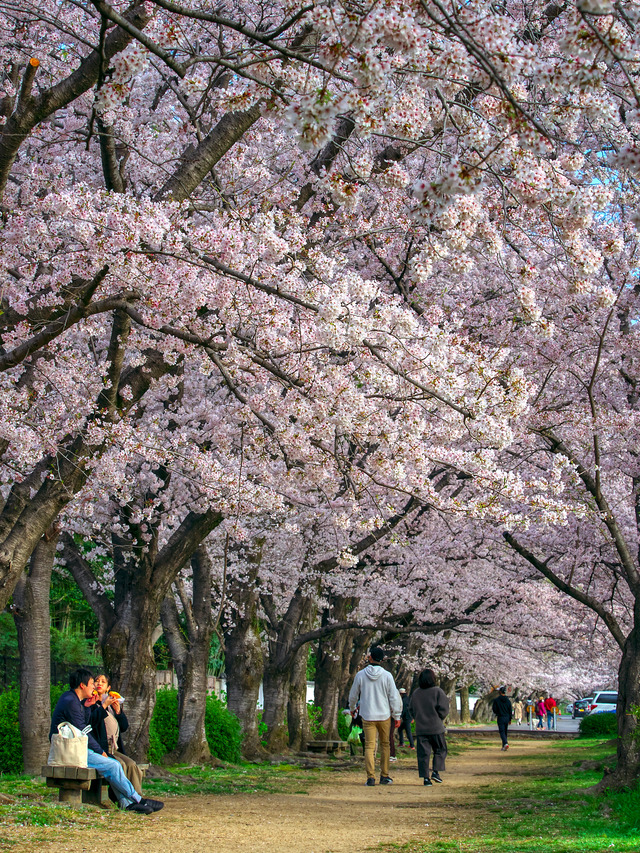 20220402_074946P4020209_6