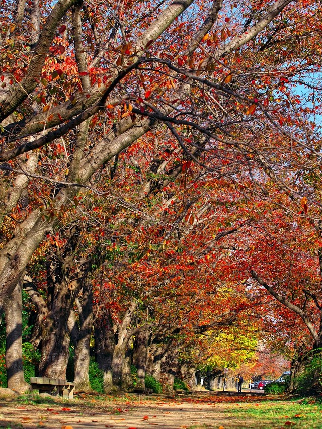 20221120_092138PB203163