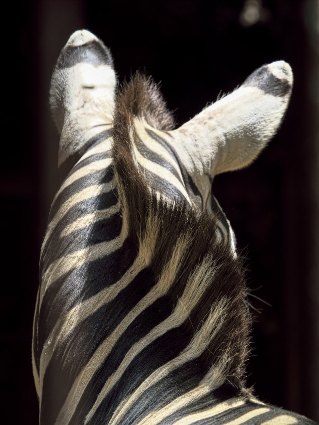 20220626_113931P6262710_4