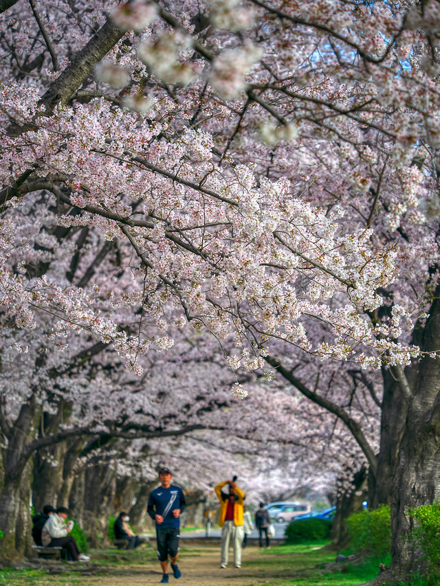 20220402_075514P4020247_12