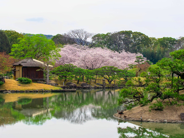 20220402_091824P4020371_20