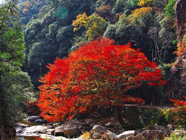 20221119_121930PB190879