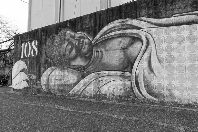 DSC00528-220321-133408