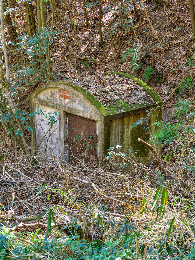 20220403_120344P4034066_44