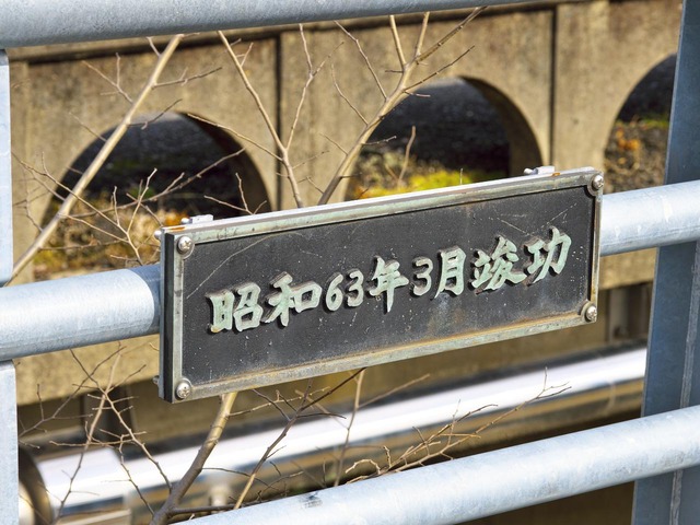 20230211_133519P2111845