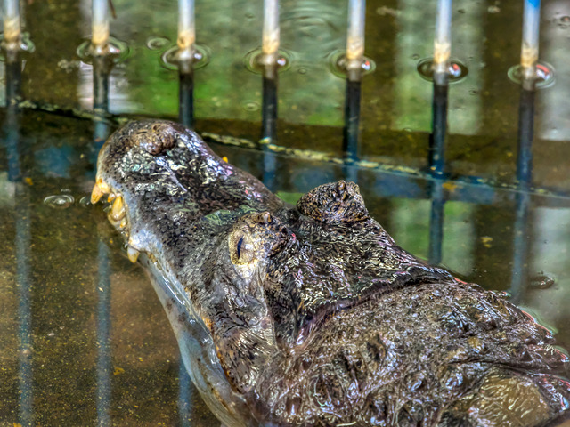 20220626_120823P6262799_6