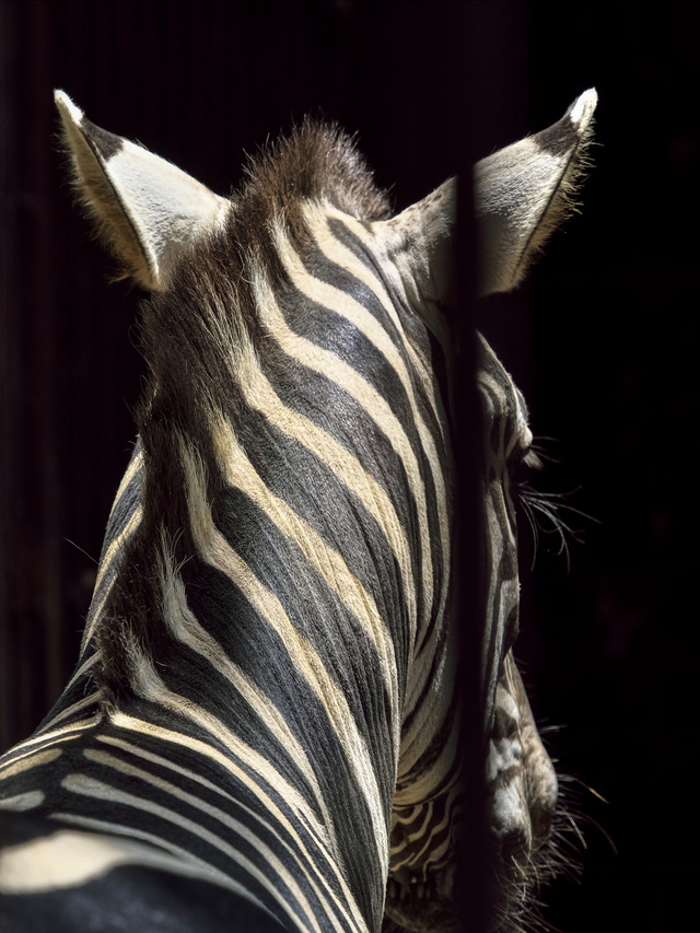 20220626_113944P6262716_5