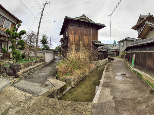 20220320_142403P3202902_372