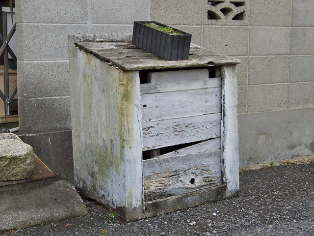 20220220_111031P2201096