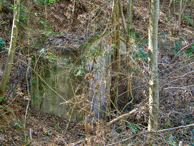 20220403_120254P4034047_39