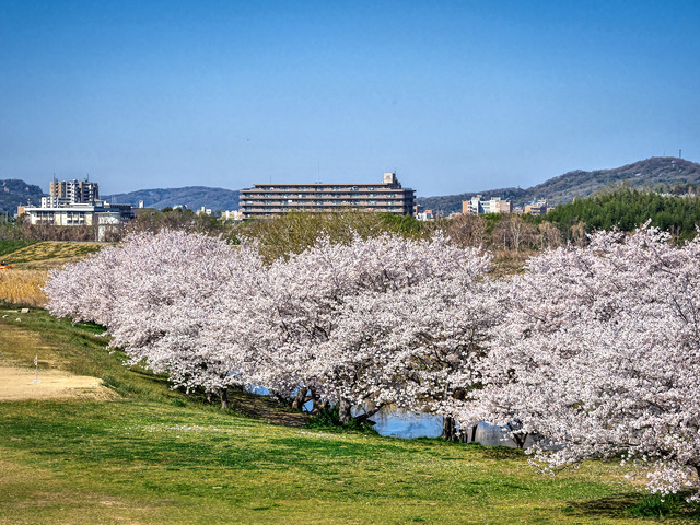 20220405_092507P4054159_16