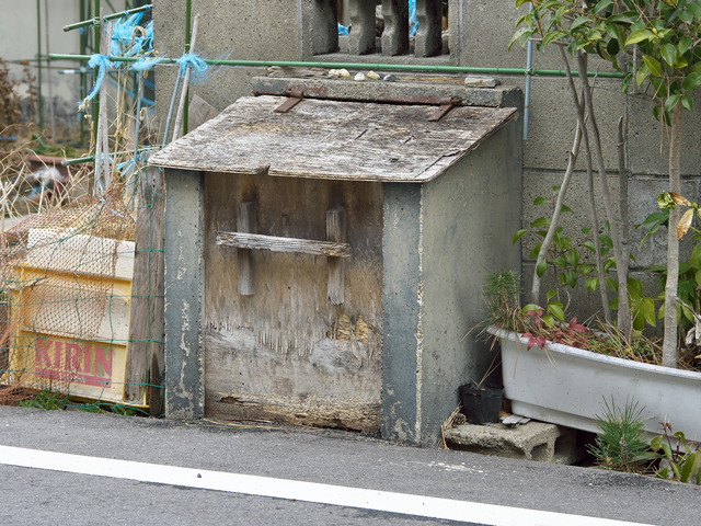 20220220_103544P2201012