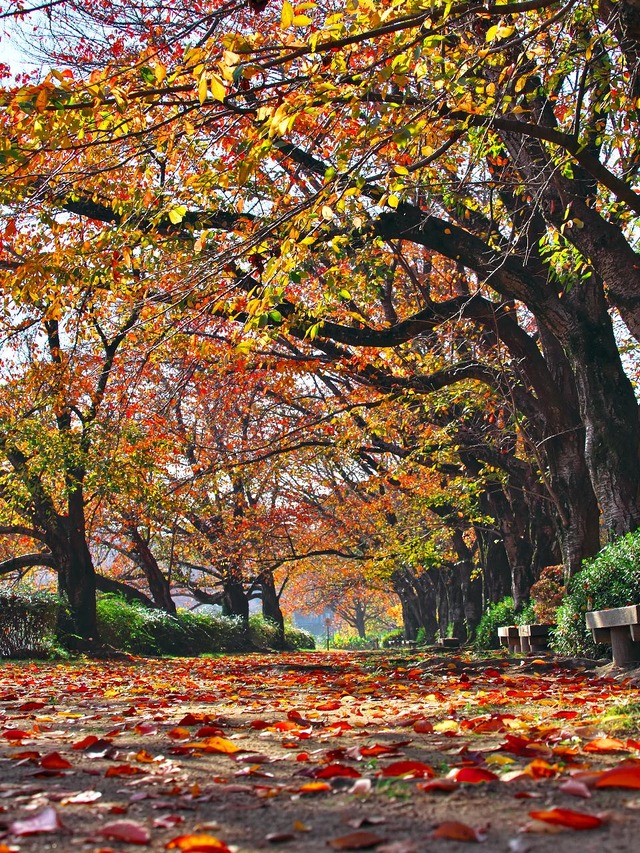 20221120_091540PB203124