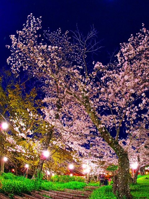 20230330_190540P3304907