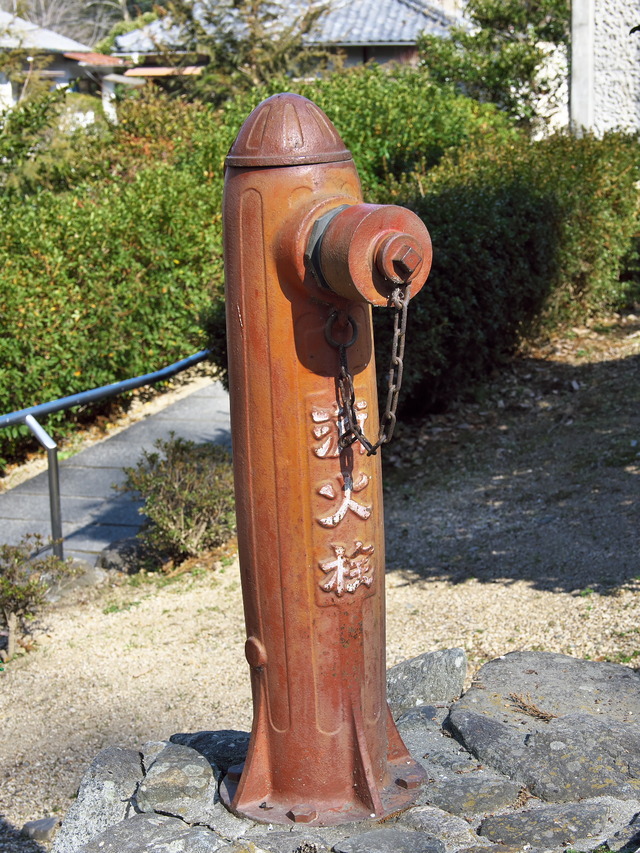 20220210_130907P2100417