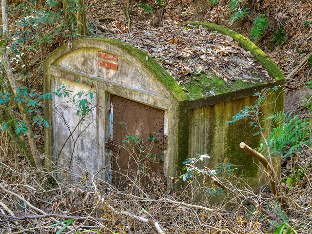 20220403_120337P4034062_43