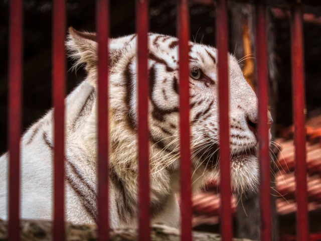 20221008_174308PA080849