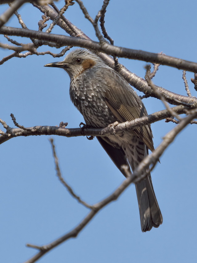 20220308_141917P3081143