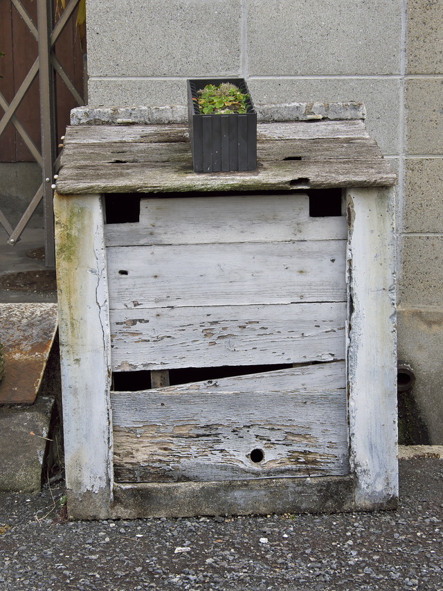 20220220_111025P2201095