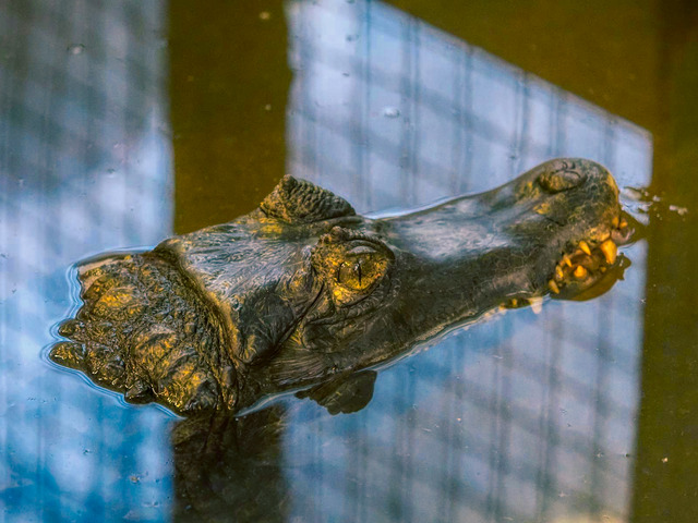 20221008_171237PA080810