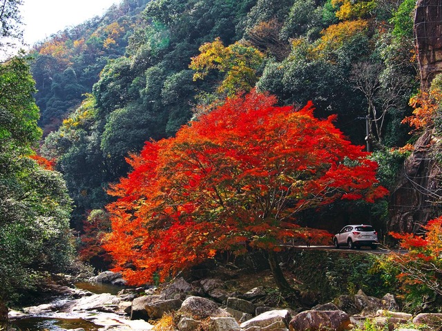 20221119_121855PB190872