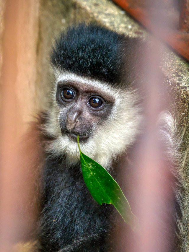 20220626_110542P6262600_7