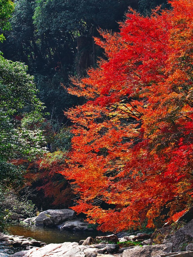 20221119_122109PB192930