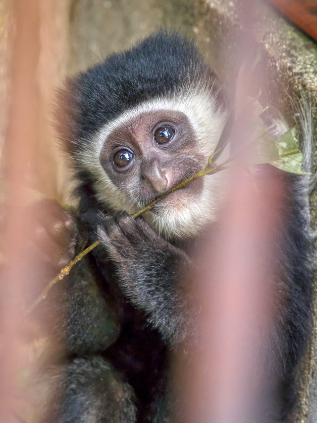 20220626_110537P6262584_5