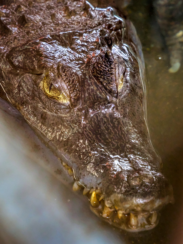 20220626_110821P6262633_5