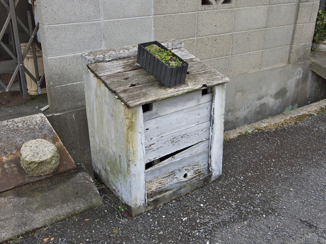 20220220_111041P2201098