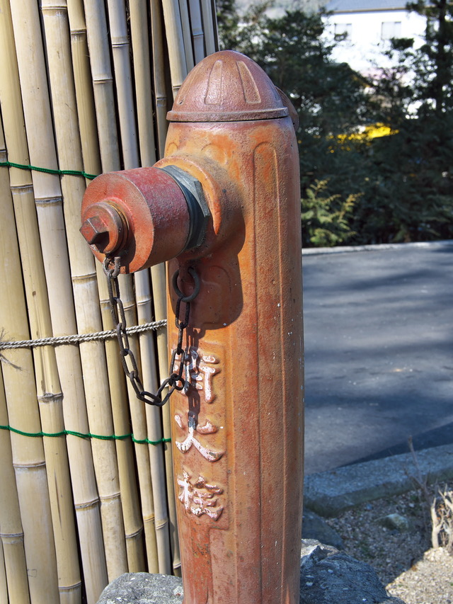 20220210_130929P2100421