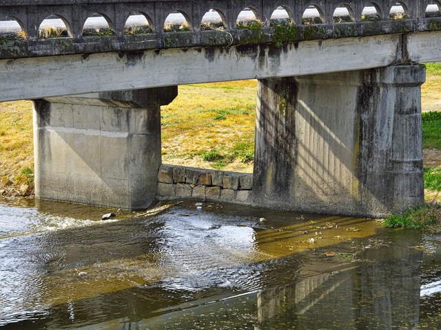 20230211_133312P2111843