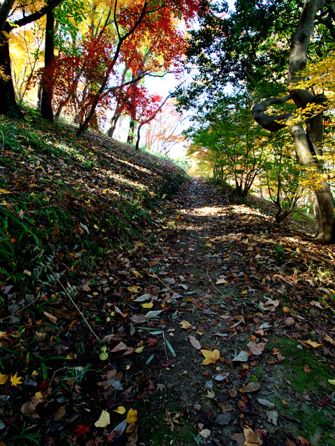 241201-105727