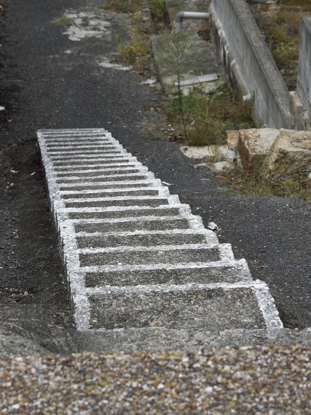 20221008_121026PA080120