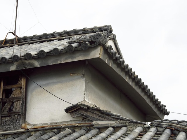 20221008_120620PA080113