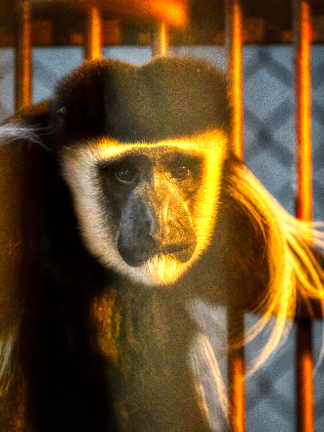 20221008_175646PA080961