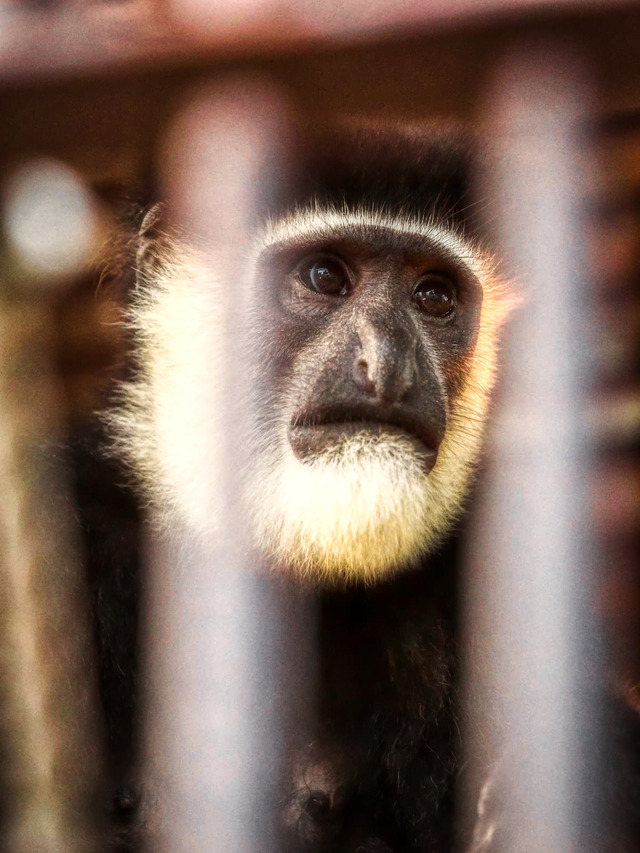 20221008_171452PA080826