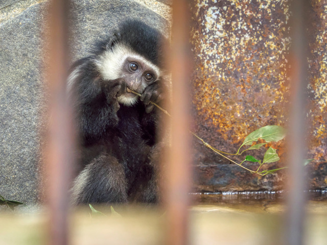 20220626_110258P6262549_3