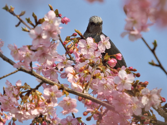 20220308_142019P3081176