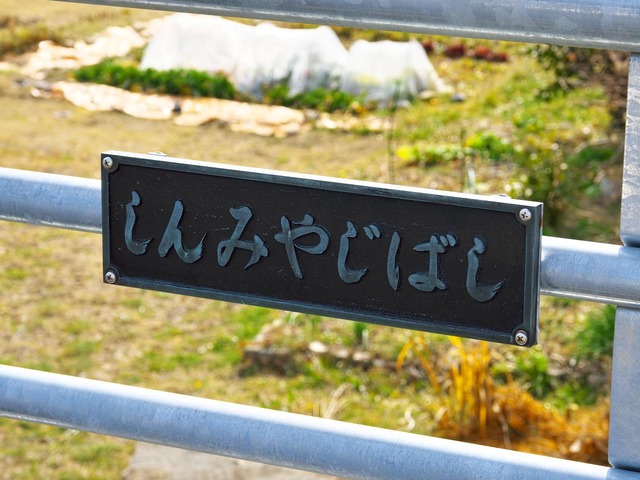 20230211_133511P2111844