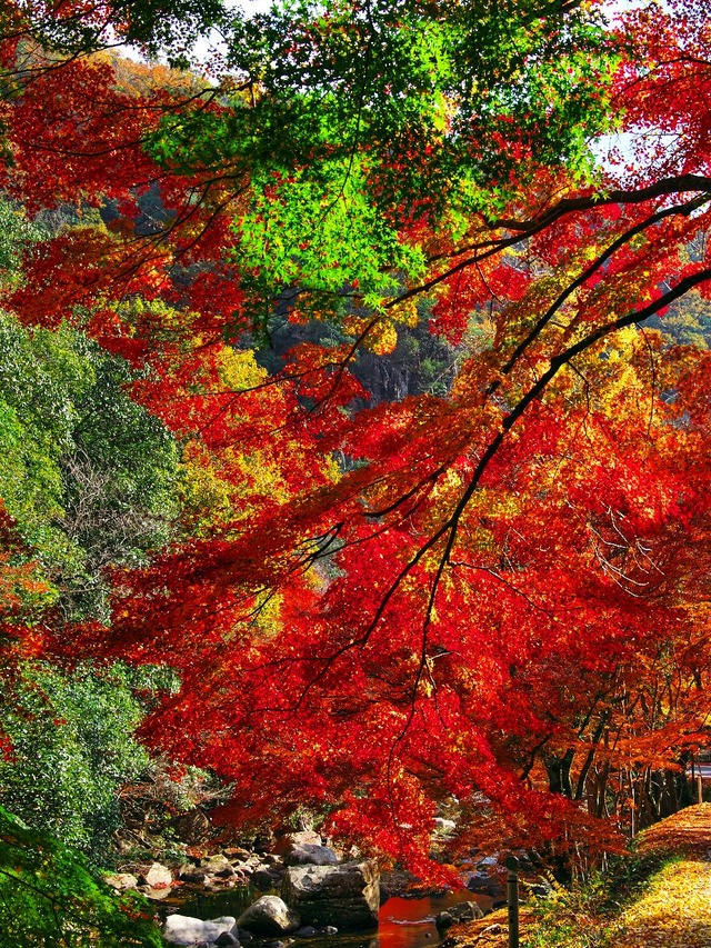 20221119_123452PB190903