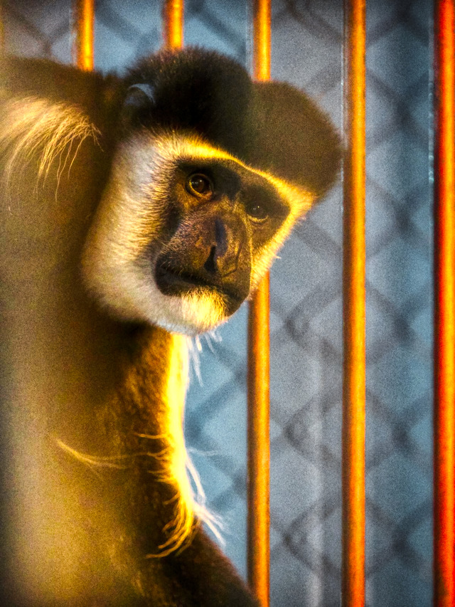 20221008_175636PA080959