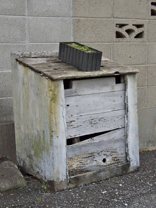 20220220_111035P2201097