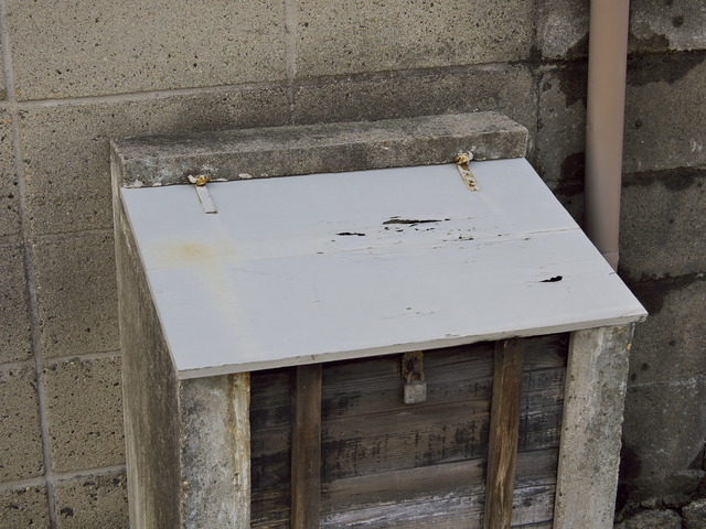 20220220_113132P2201165