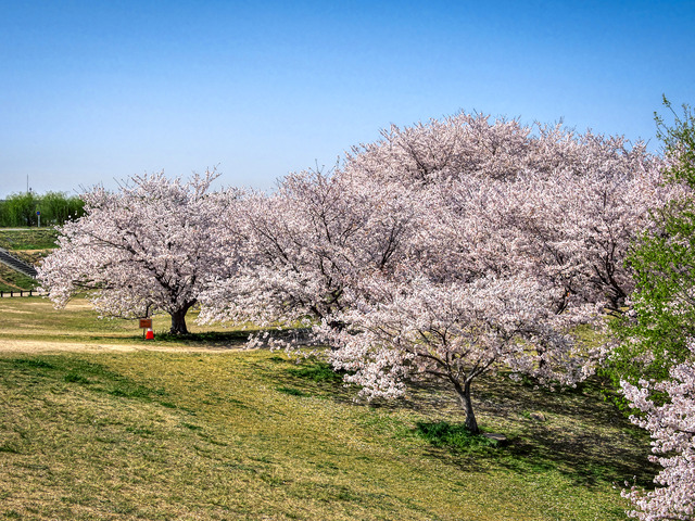 20220405_092235P4054150_7