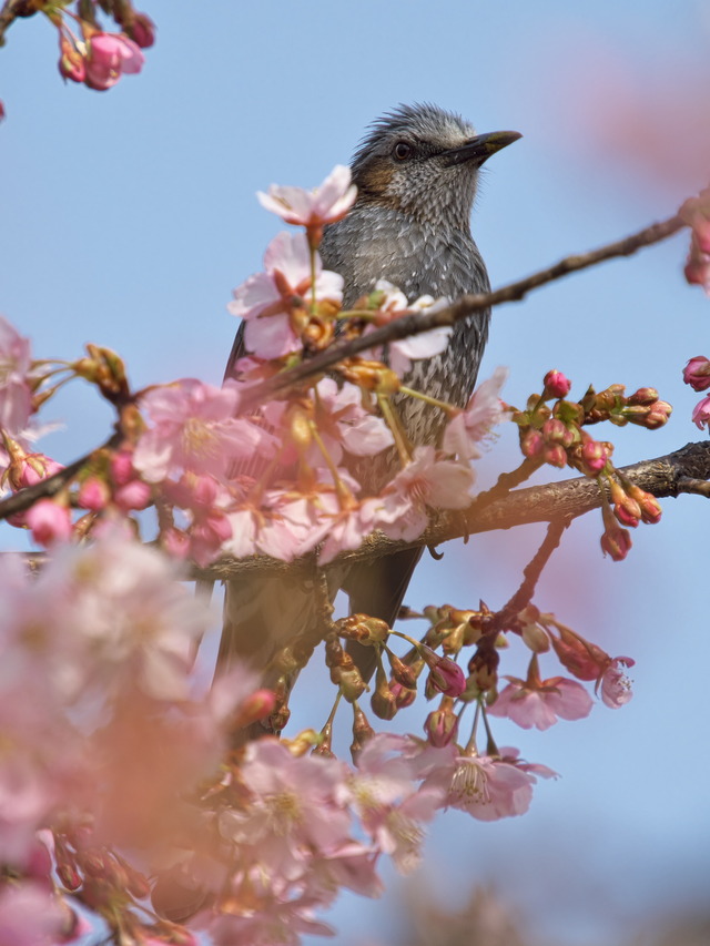 20220308_142323P3081238