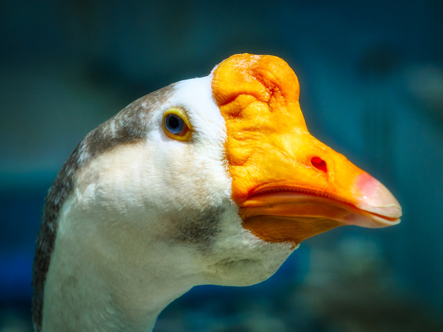 20220626_102114P6262463