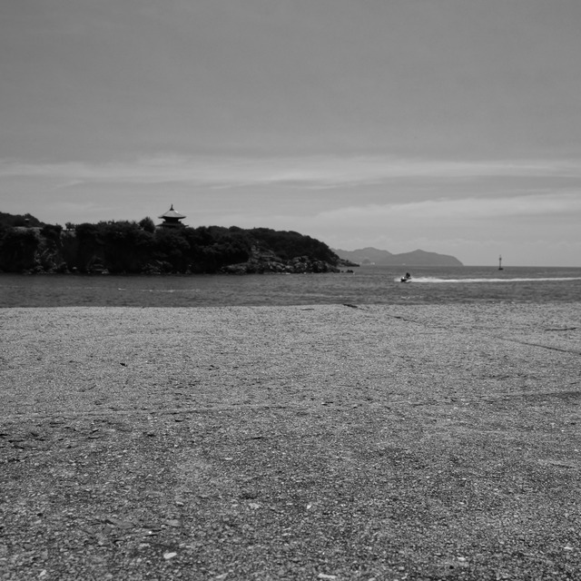DSC01258