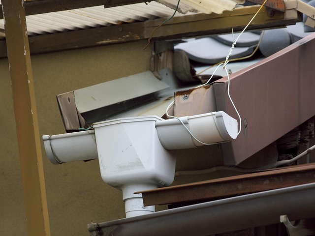 20221008_120703PA080114