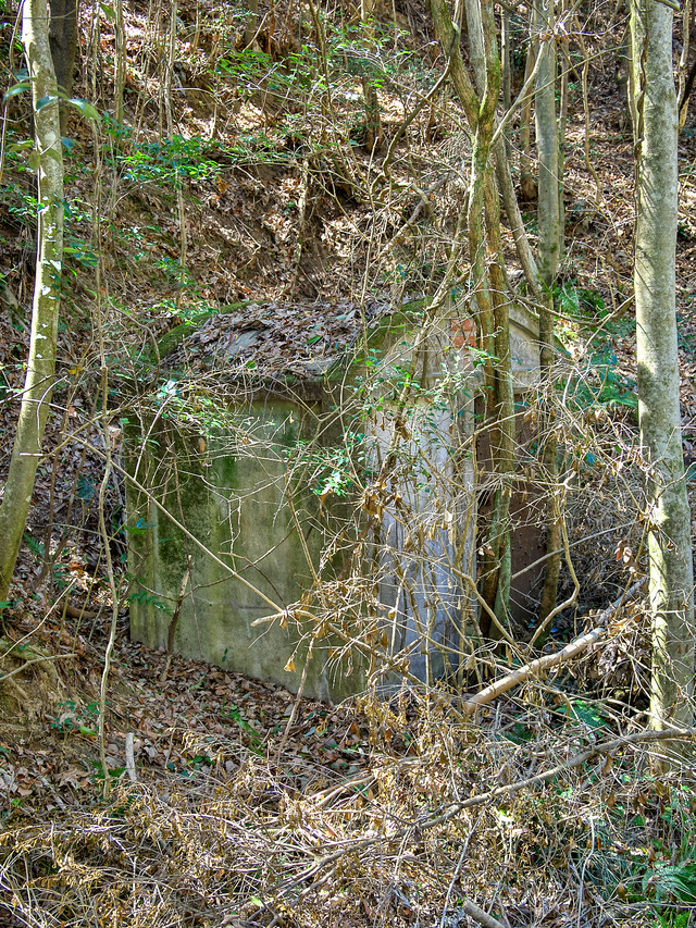 20220403_120251P4034045_38